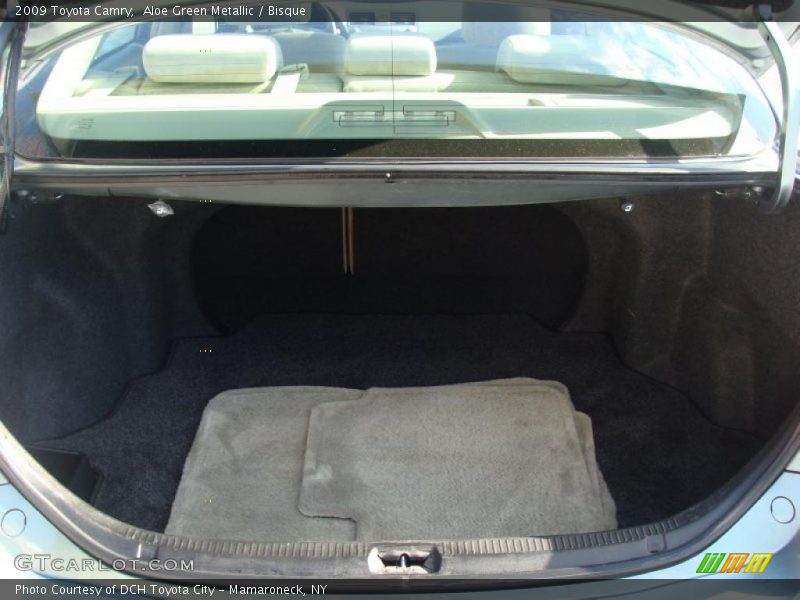 Aloe Green Metallic / Bisque 2009 Toyota Camry