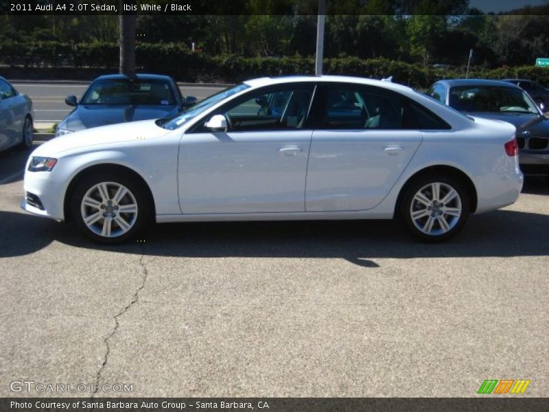 Ibis White / Black 2011 Audi A4 2.0T Sedan