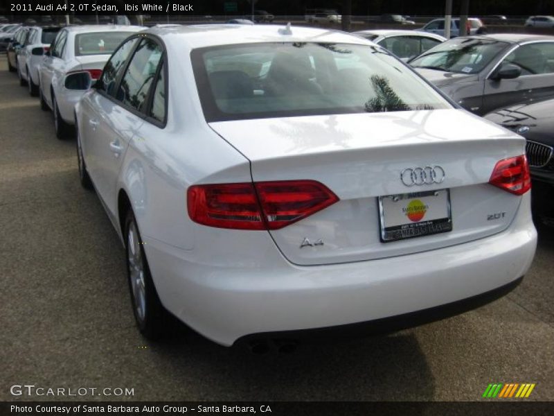 Ibis White / Black 2011 Audi A4 2.0T Sedan
