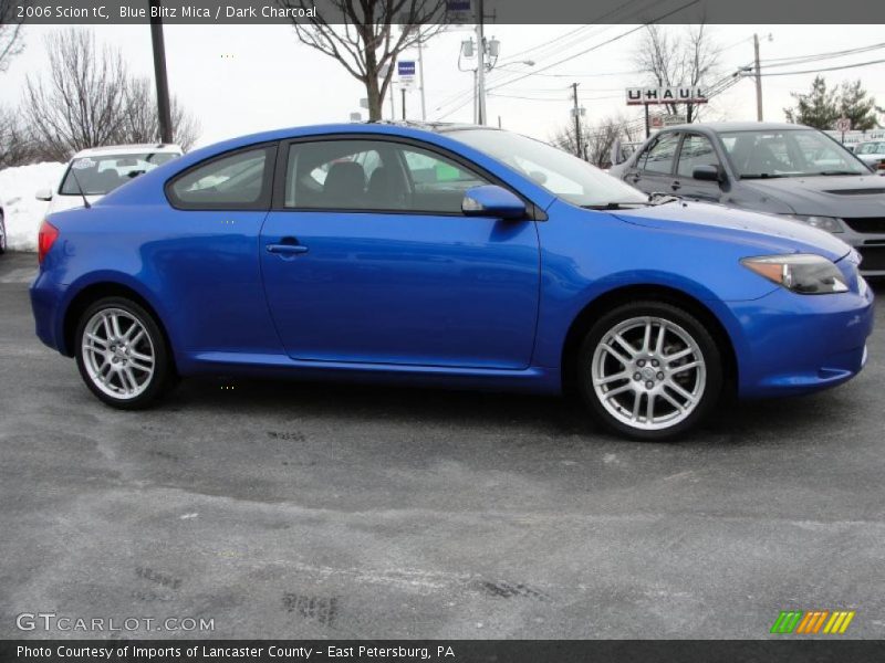 Blue Blitz Mica / Dark Charcoal 2006 Scion tC