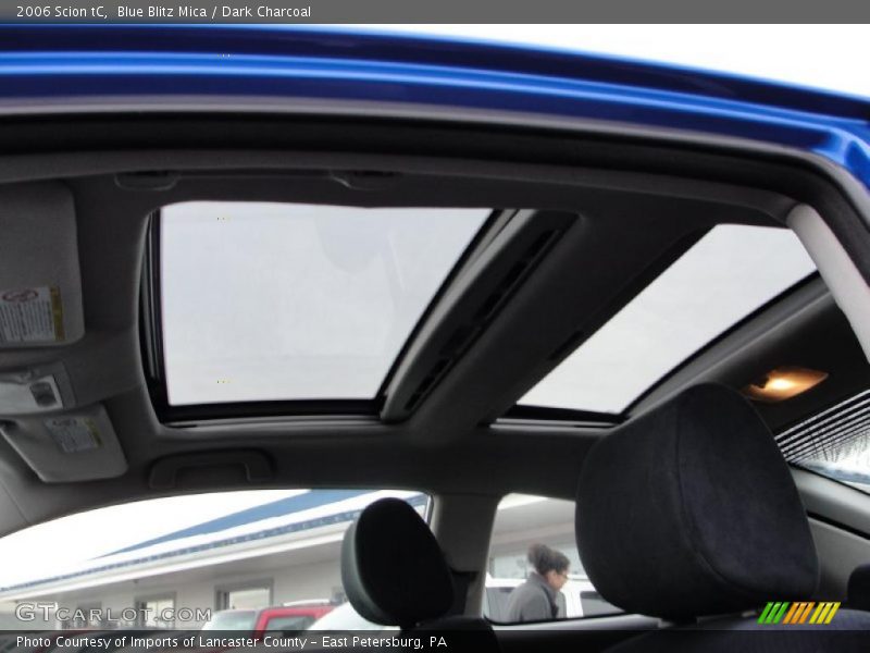 Blue Blitz Mica / Dark Charcoal 2006 Scion tC