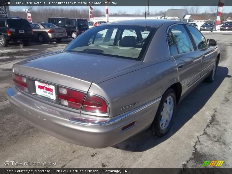 Light Bronzemist Metallic / Medium Gray 2003 Buick Park Avenue