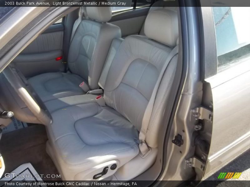 Light Bronzemist Metallic / Medium Gray 2003 Buick Park Avenue