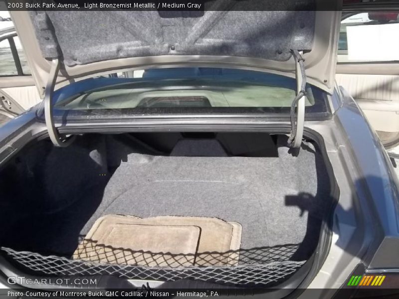 Light Bronzemist Metallic / Medium Gray 2003 Buick Park Avenue