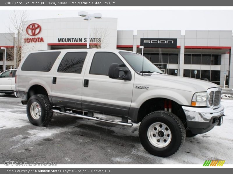 Silver Birch Metallic / Medium Flint 2003 Ford Excursion XLT 4x4