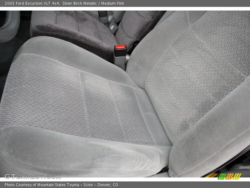 Silver Birch Metallic / Medium Flint 2003 Ford Excursion XLT 4x4