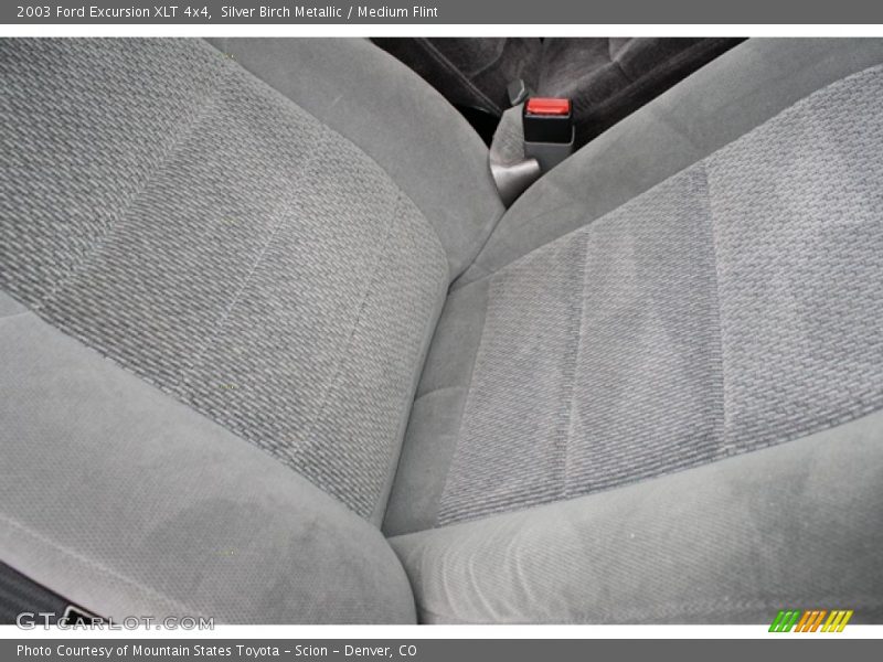 Silver Birch Metallic / Medium Flint 2003 Ford Excursion XLT 4x4