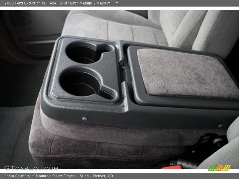 Silver Birch Metallic / Medium Flint 2003 Ford Excursion XLT 4x4