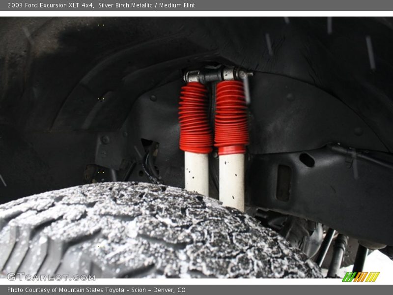 Silver Birch Metallic / Medium Flint 2003 Ford Excursion XLT 4x4