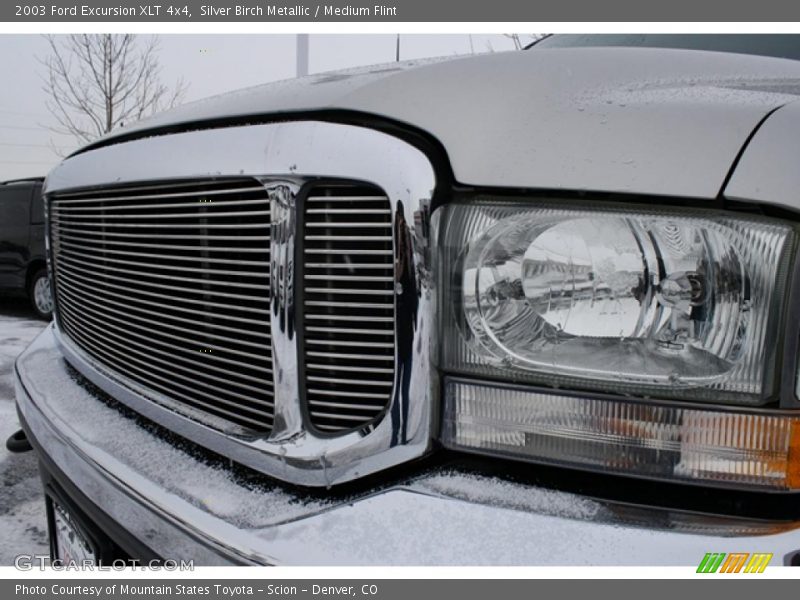 Silver Birch Metallic / Medium Flint 2003 Ford Excursion XLT 4x4