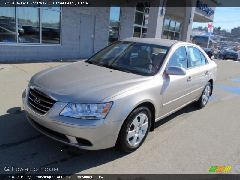 Camel Pearl / Camel 2009 Hyundai Sonata GLS