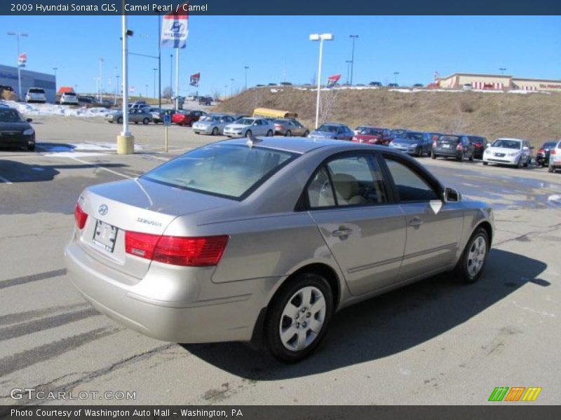 Camel Pearl / Camel 2009 Hyundai Sonata GLS