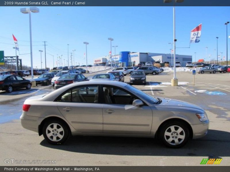 Camel Pearl / Camel 2009 Hyundai Sonata GLS