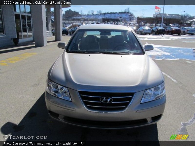 Camel Pearl / Camel 2009 Hyundai Sonata GLS