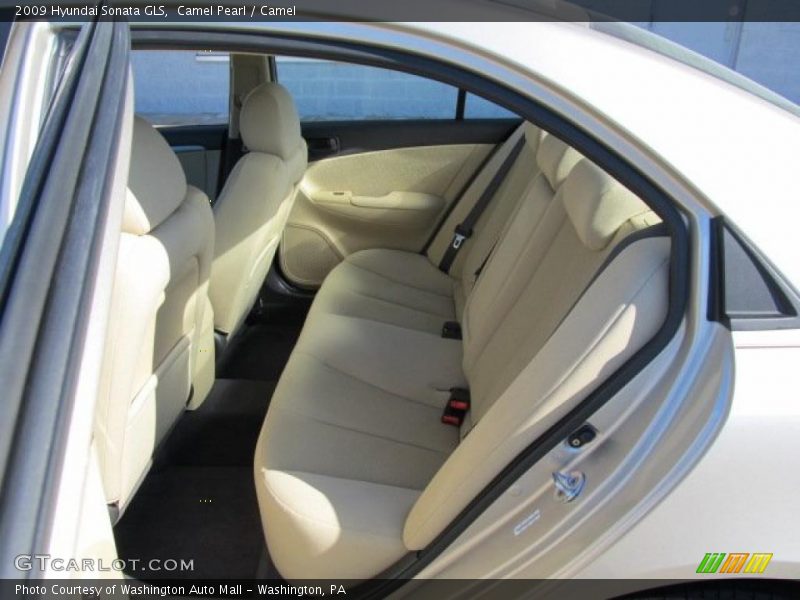 Camel Pearl / Camel 2009 Hyundai Sonata GLS