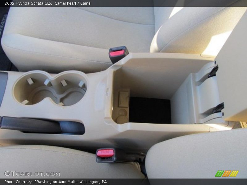 Camel Pearl / Camel 2009 Hyundai Sonata GLS