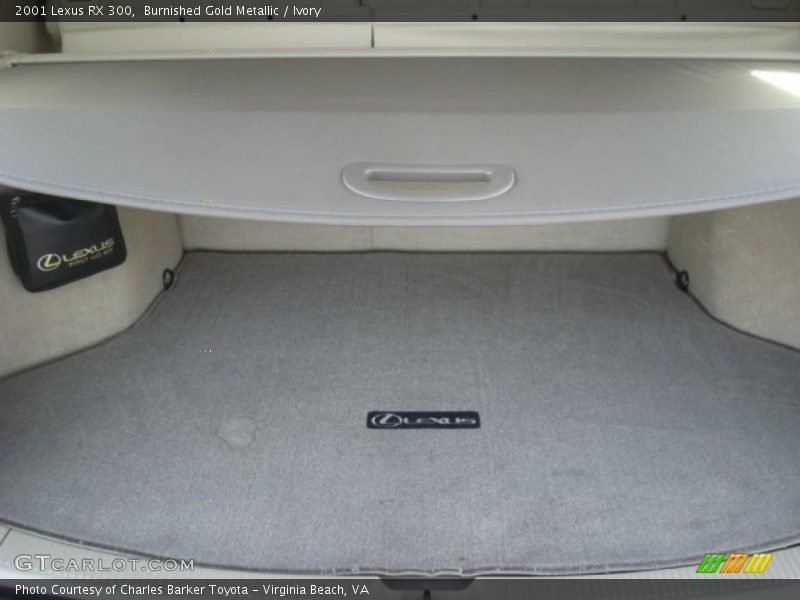 Burnished Gold Metallic / Ivory 2001 Lexus RX 300