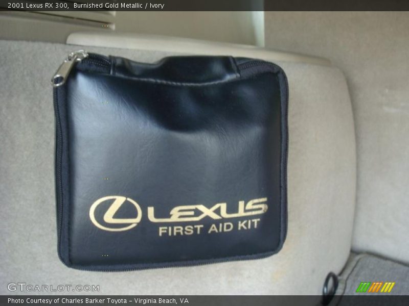 Burnished Gold Metallic / Ivory 2001 Lexus RX 300