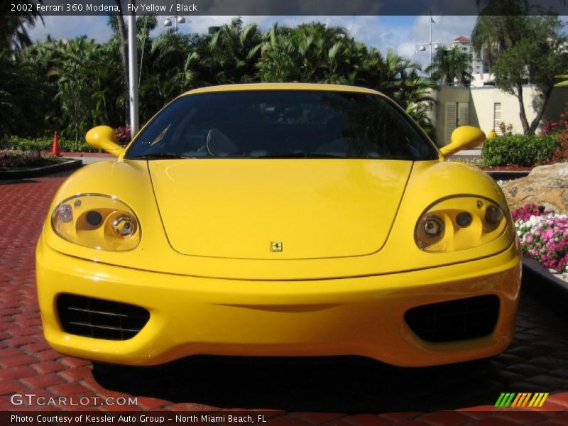 Fly Yellow / Black 2002 Ferrari 360 Modena