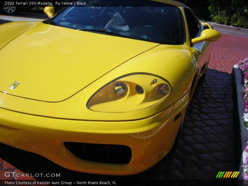 Fly Yellow / Black 2002 Ferrari 360 Modena