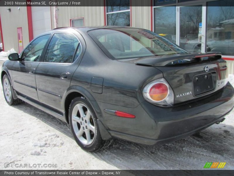 Gray Lustre / Frost 2003 Nissan Maxima SE