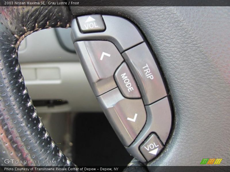 Gray Lustre / Frost 2003 Nissan Maxima SE