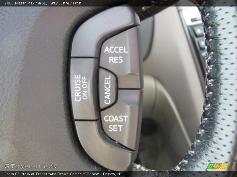 Gray Lustre / Frost 2003 Nissan Maxima SE