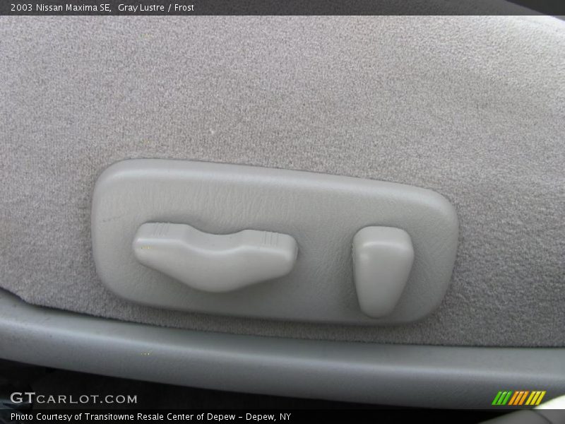 Gray Lustre / Frost 2003 Nissan Maxima SE