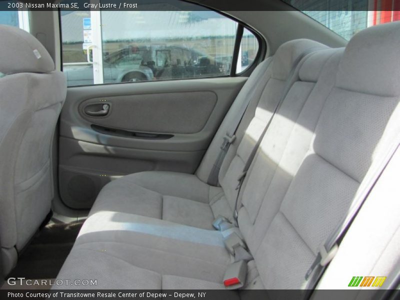 Gray Lustre / Frost 2003 Nissan Maxima SE
