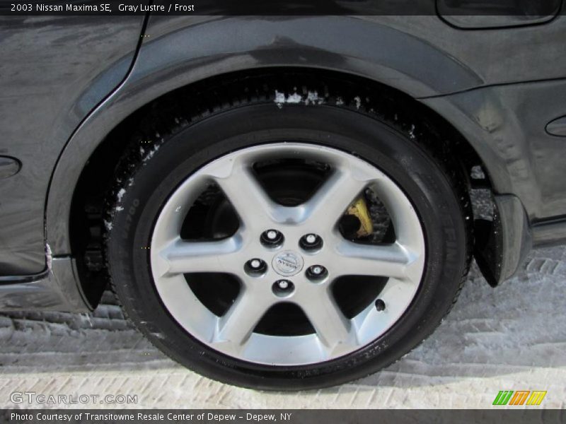 Gray Lustre / Frost 2003 Nissan Maxima SE