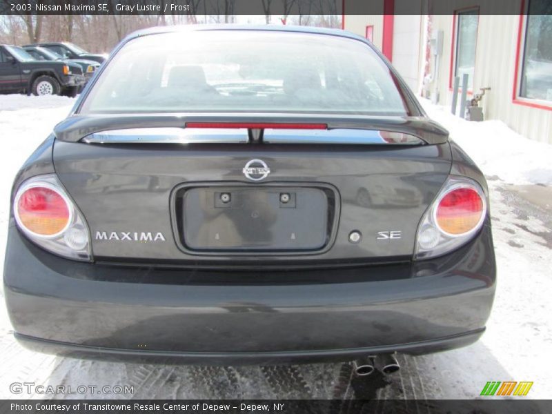 Gray Lustre / Frost 2003 Nissan Maxima SE