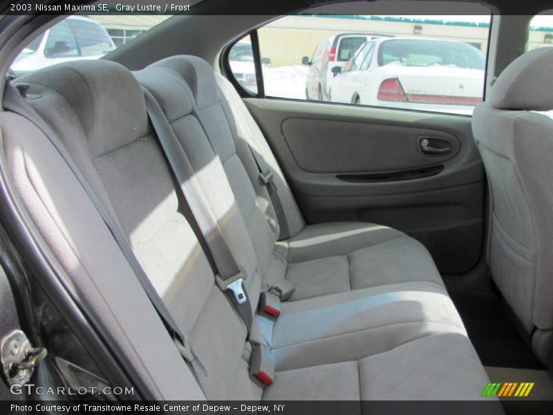 Gray Lustre / Frost 2003 Nissan Maxima SE