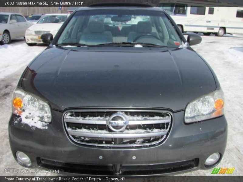 Gray Lustre / Frost 2003 Nissan Maxima SE