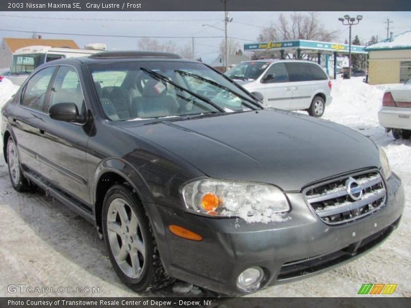 Gray Lustre / Frost 2003 Nissan Maxima SE