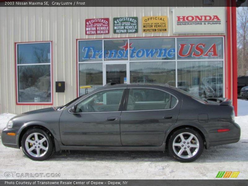 Gray Lustre / Frost 2003 Nissan Maxima SE