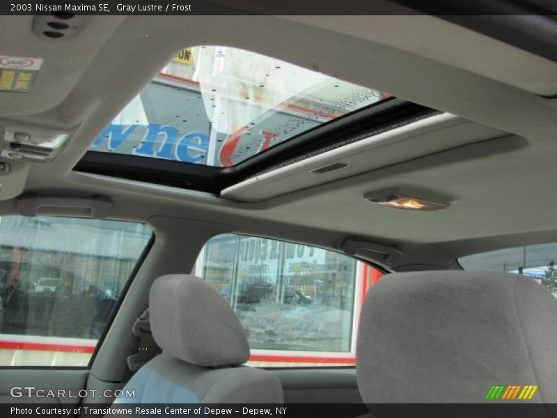 Gray Lustre / Frost 2003 Nissan Maxima SE