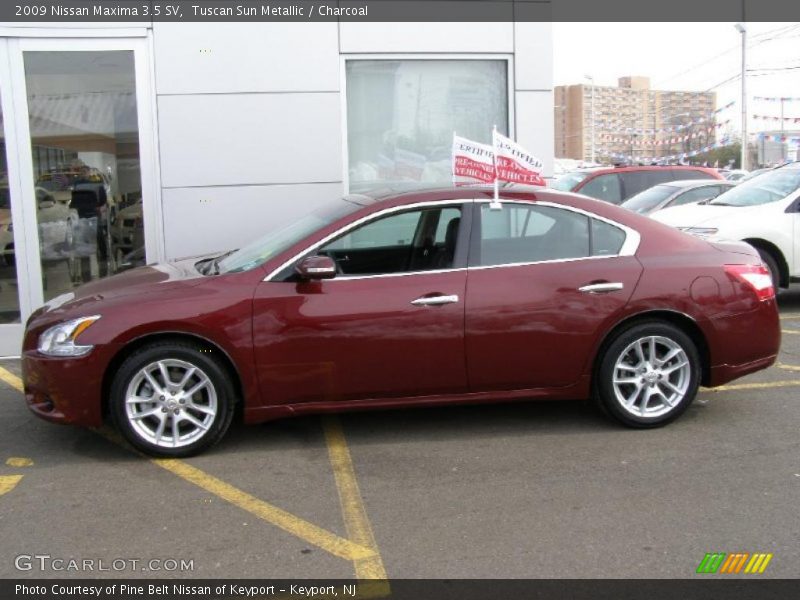 Tuscan Sun Metallic / Charcoal 2009 Nissan Maxima 3.5 SV
