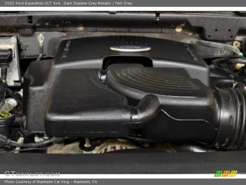 Dark Shadow Grey Metallic / Flint Grey 2003 Ford Expedition XLT 4x4