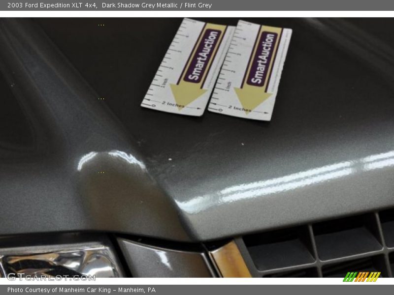 Dark Shadow Grey Metallic / Flint Grey 2003 Ford Expedition XLT 4x4