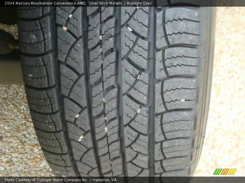 Silver Birch Metallic / Midnight Grey 2004 Mercury Mountaineer Convenience AWD