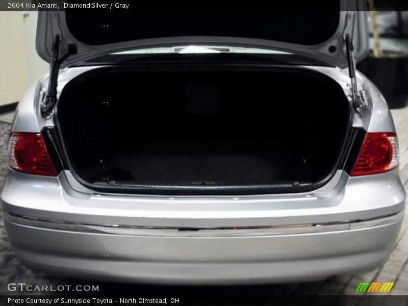 Diamond Silver / Gray 2004 Kia Amanti