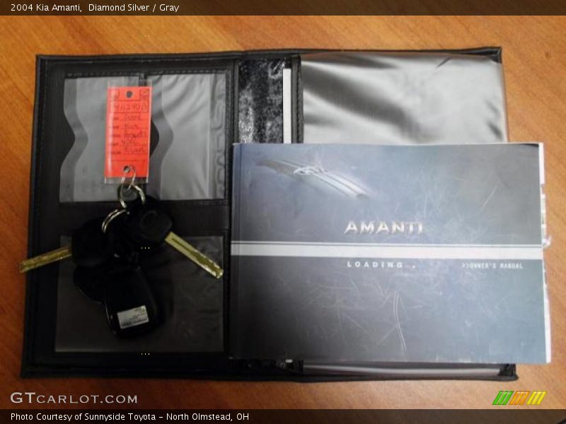 Diamond Silver / Gray 2004 Kia Amanti