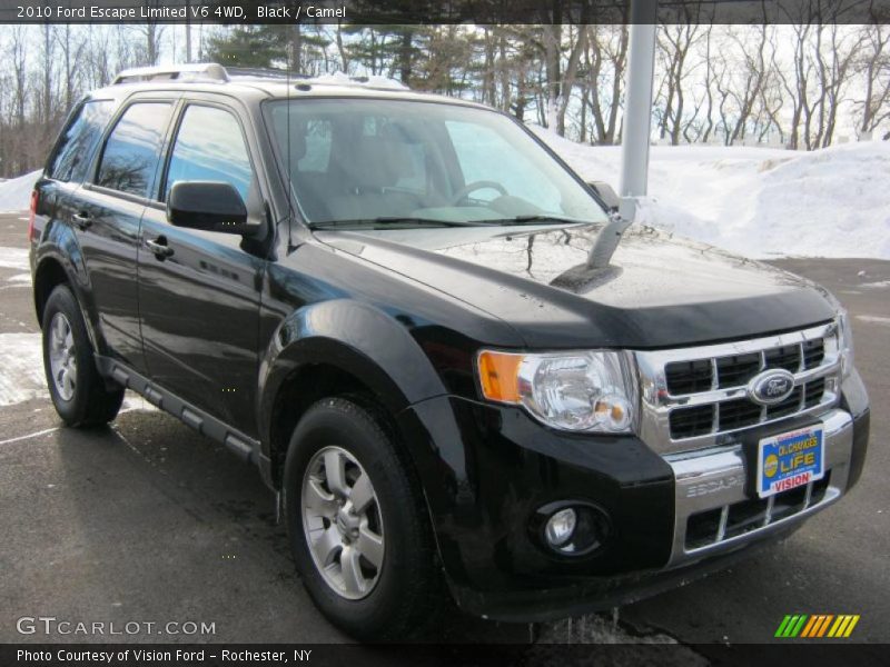 Black / Camel 2010 Ford Escape Limited V6 4WD