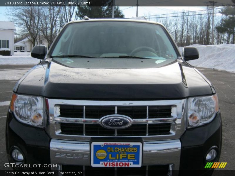 Black / Camel 2010 Ford Escape Limited V6 4WD