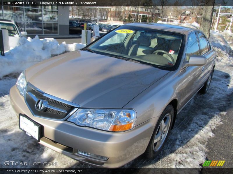 Naples Gold Metallic / Parchment 2002 Acura TL 3.2