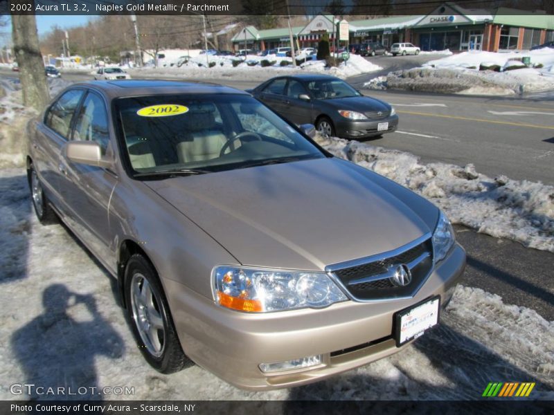 Naples Gold Metallic / Parchment 2002 Acura TL 3.2