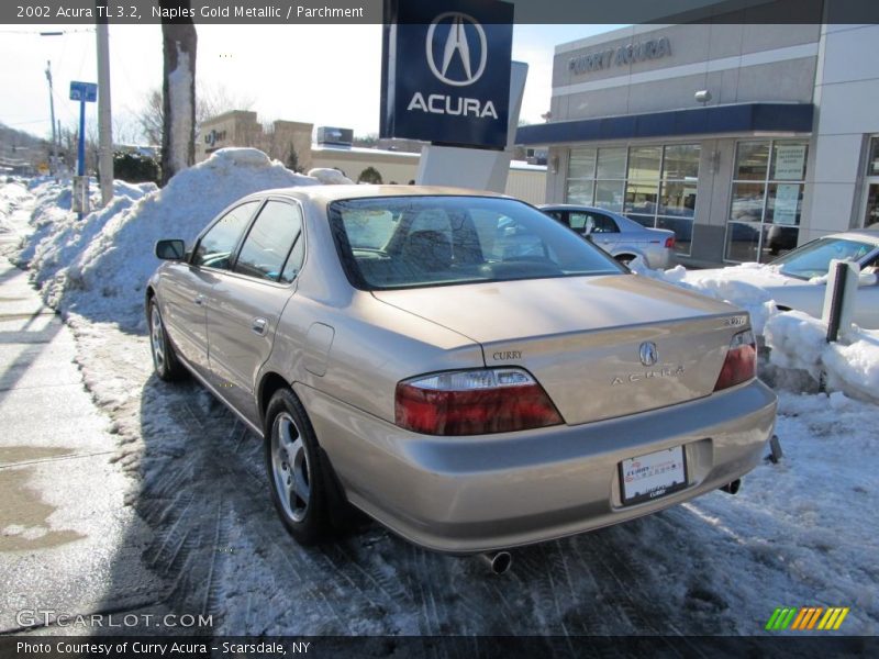 Naples Gold Metallic / Parchment 2002 Acura TL 3.2