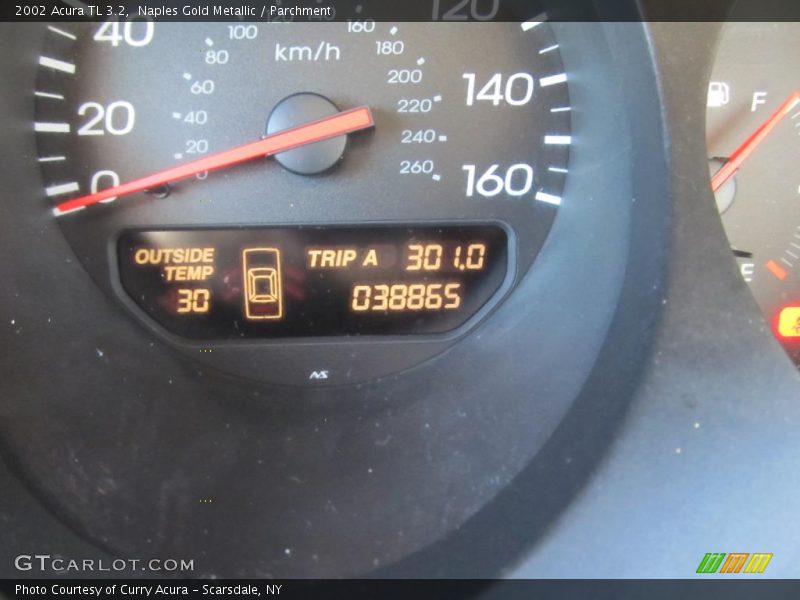 Naples Gold Metallic / Parchment 2002 Acura TL 3.2