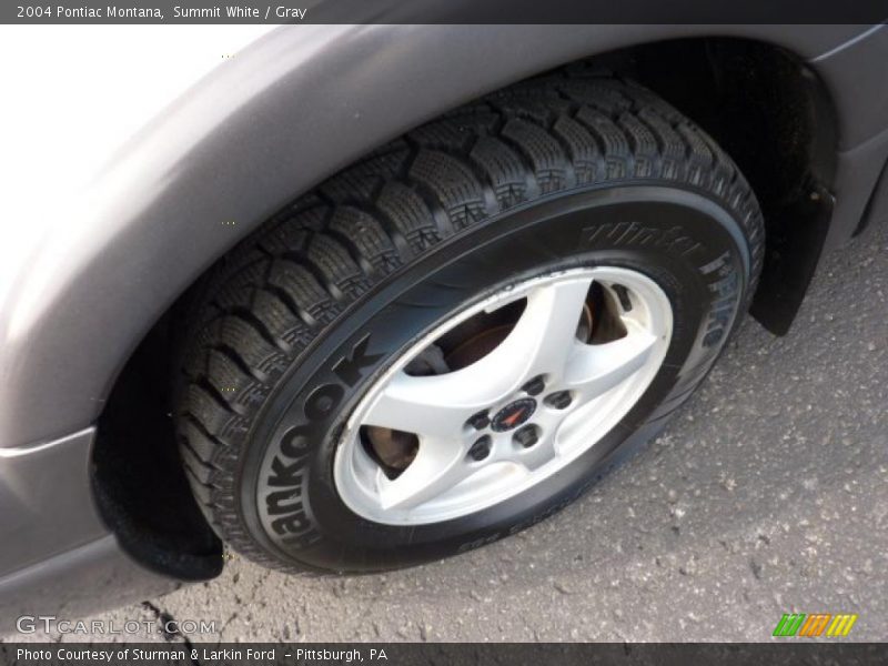 Summit White / Gray 2004 Pontiac Montana
