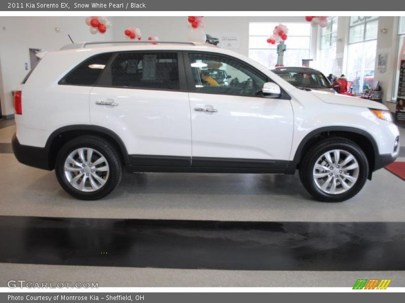 Snow White Pearl / Black 2011 Kia Sorento EX